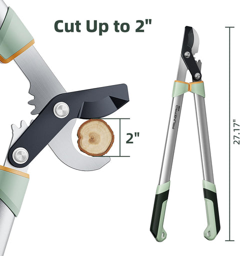 PrunePro Stainless Steel Tree Pruning Loppers