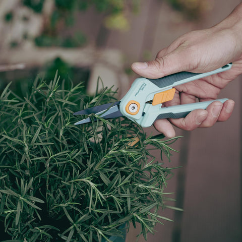 PrunePro 2 Pack Stainless Steel Garden Pruning Shears