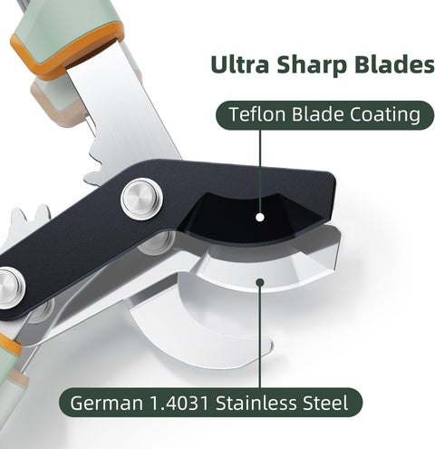 PrunePro Stainless Steel Tree Pruning Loppers